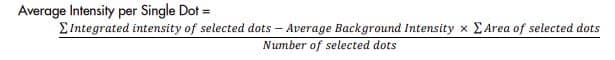 Figure 3. Selection of single dots to calculate Average Intensity per Single Dot